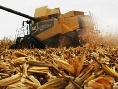 Crédito rural em MS soma R$ 1,1 bilhão em março e revela cautela do produtor