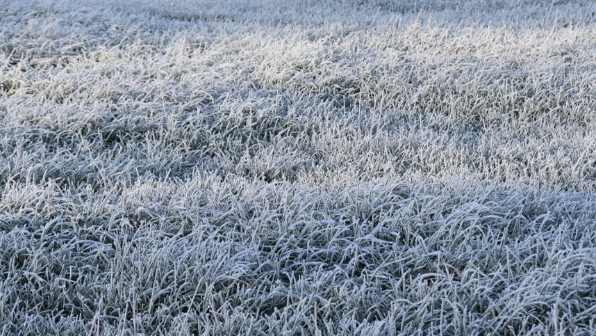 Massa polar pode levar temperaturas abaixo de 0°C
