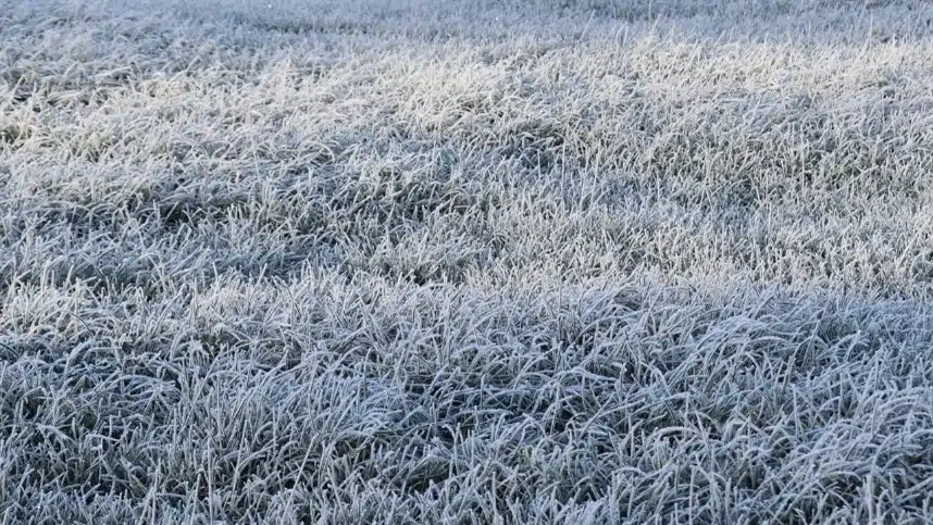 Massa polar pode levar temperaturas abaixo de 0°C