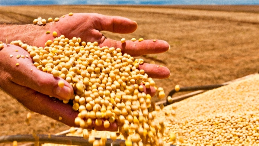Mato Grosso bate novo recorde no esmagamento de soja
