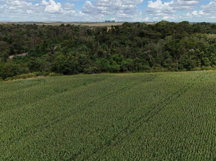 Aprosoja MT participa de reunião da FPA sobre o novo marco do Licenciamento Ambiental