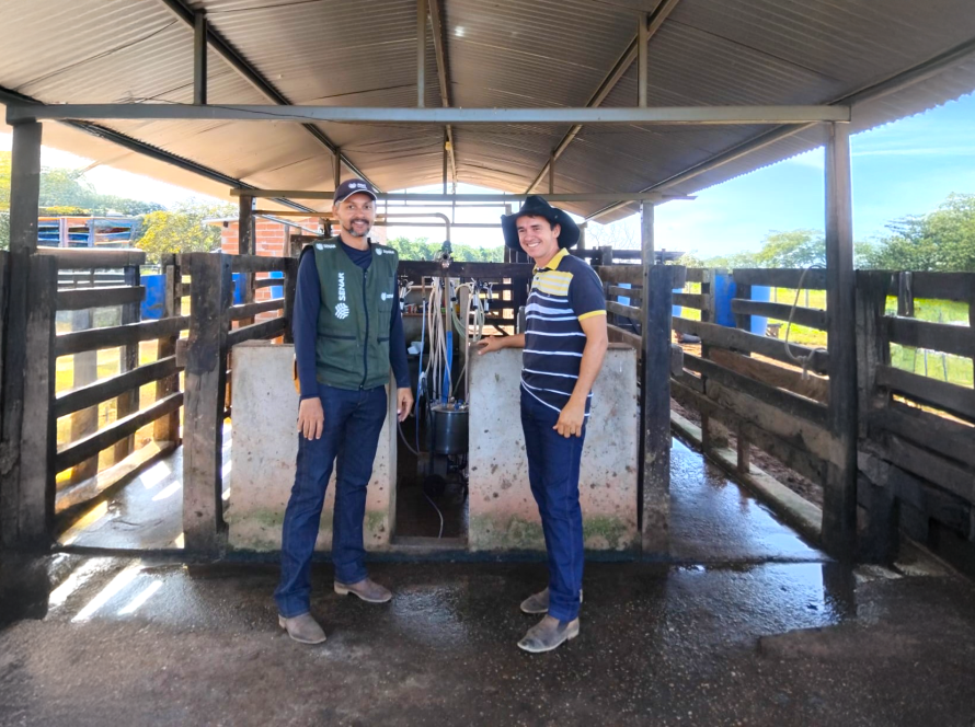 Com apoio do Senar/MT, produtora rural de Torixoréu aumenta produção de leite em 72%