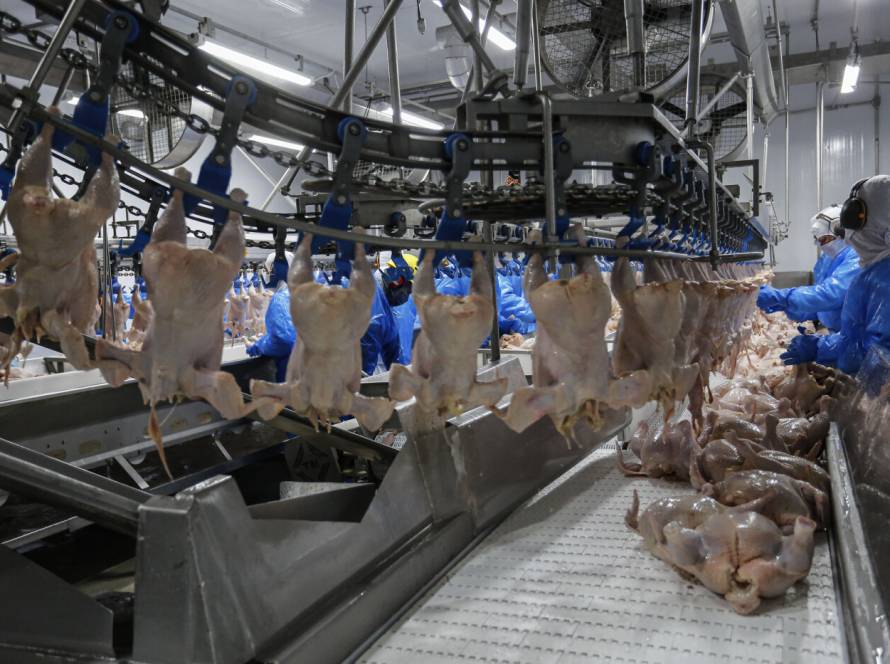 Exportações de carne de frango mantém estabilidade em abril