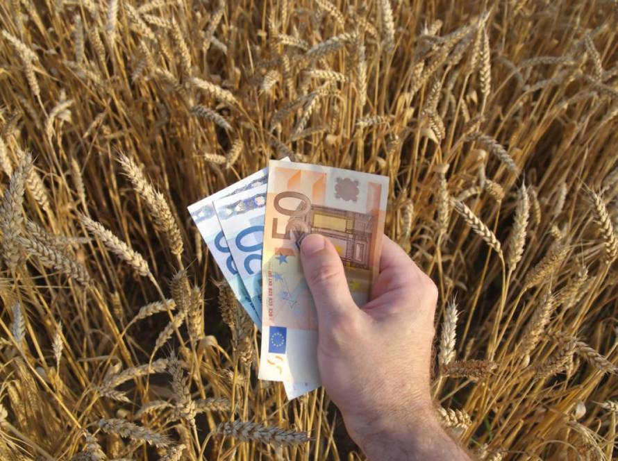 Liminar suspende execução de dívidas de R$ 209 milhões de produtor rural de MS sob Lei da Recuperação Judicial