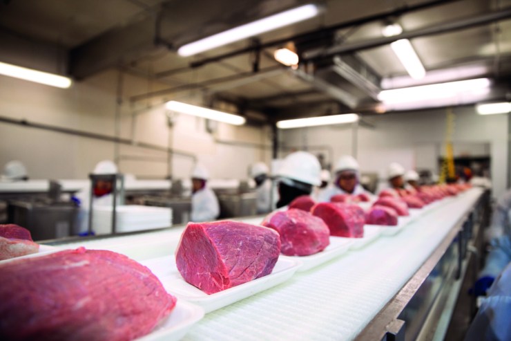 Agro brasileiro dribla tarifas e amplia receita com exportações