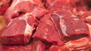 Carne bovina de MT atinge maior valor de exportação desde outubro de 2022