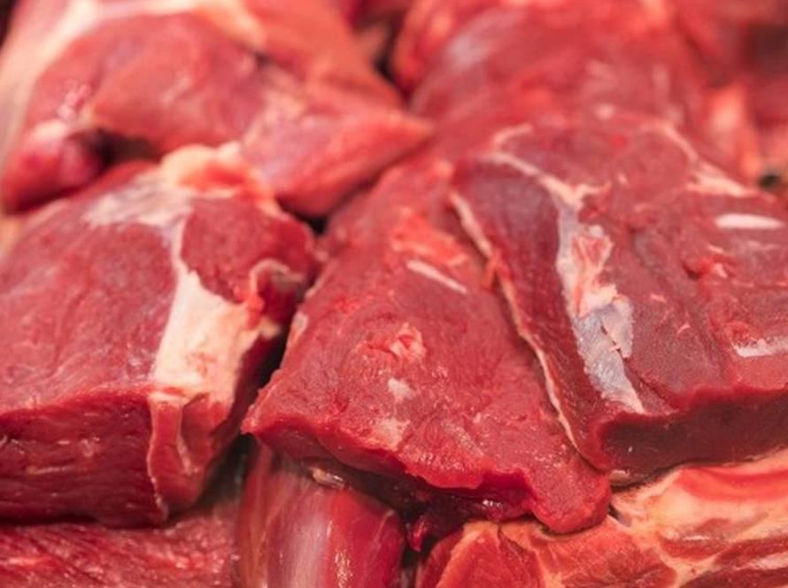 Carne bovina de MT atinge maior valor de exportação desde outubro de 2022