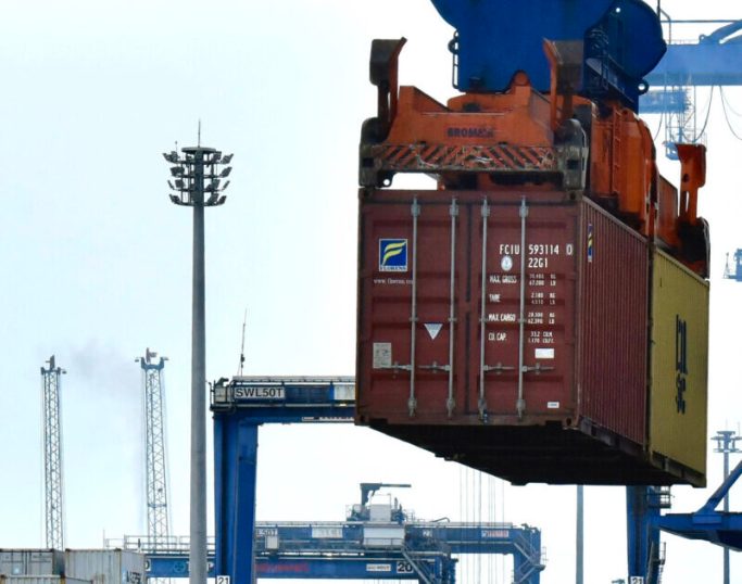 Exportações da piscicultura batem recorde no 1º trimestre de 2025