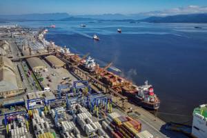 Exportações de ovos são recordes em maio