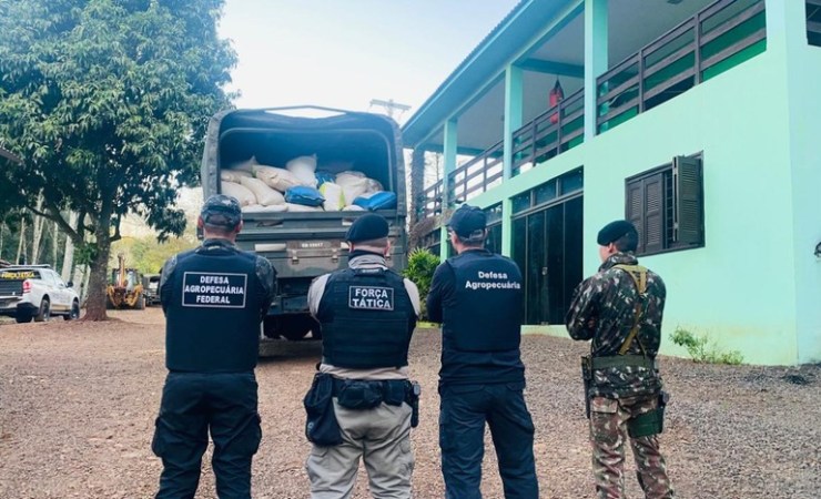 Mais de 50 toneladas de soja e quase 2 mil litros de defensivos ilegais são apreendidos no Rio Grande do Sul