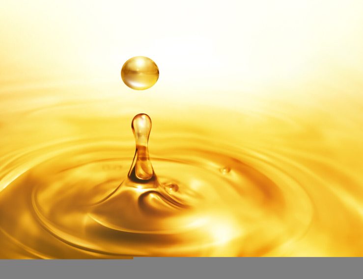 Nova política de biodiesel dos EUA pode elevar preços do óleo de soja e estimular esmagamento
