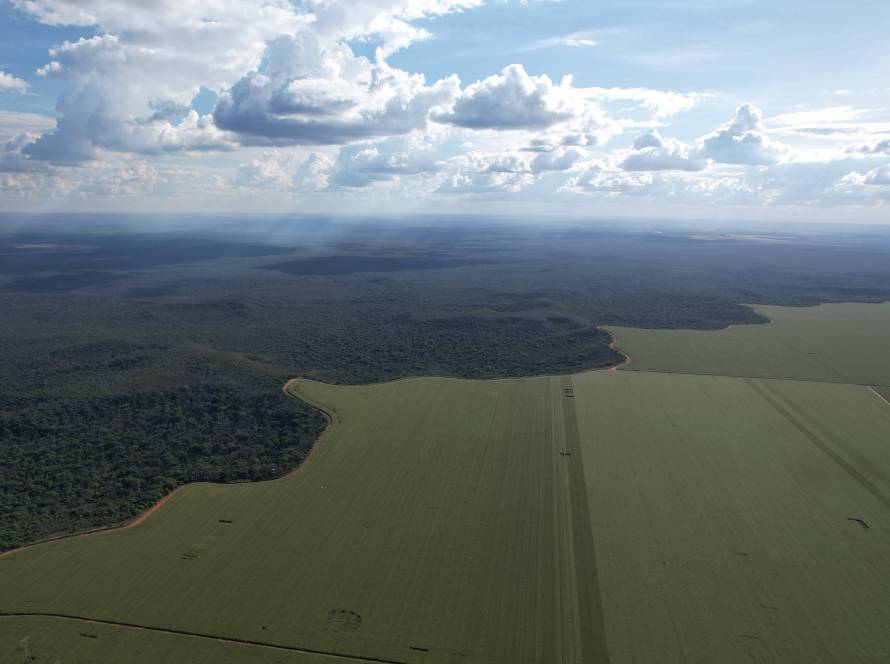 Aprosoja MT reconhece protagonismo de produtores rurais na proteção às florestas durante a estiagem
