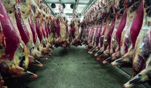 Mato Grosso transforma carne bovina em referência mundial de qualidade