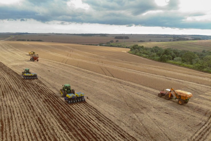 PIB da cadeia da soja e biodiesel pode crescer quase 11% em 2025 impulsionado por safra recorde
