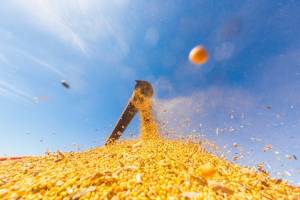 Embrapa Soja realiza seminário sobre desafios e liderança brasileira no mercado mundial
