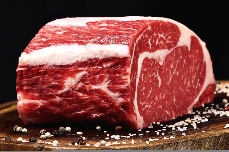 Exportações de carne bovina batem recorde e reforçam força da pecuária brasileira, destaca presidente da ABCZ