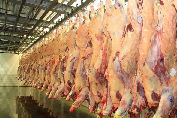Exportações de carne in natura batem recorde histórico em julho
