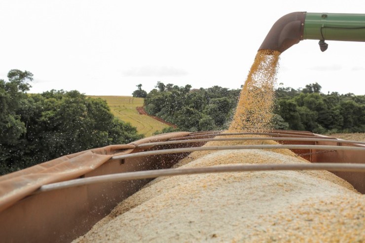 Fim da Moratória da Soja ameaça credibilidade do Brasil e aumenta risco de desmatamento na Amazônia