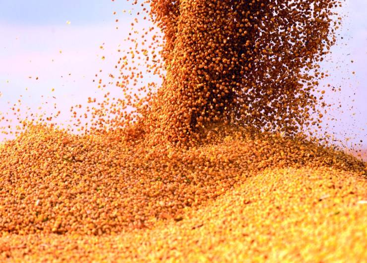 O que está por trás do salto esperado na produção brasileira de soja