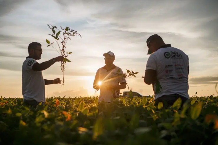 Produtor deve se atentar à compatibilidade de insumos nesta época de plantio de soja