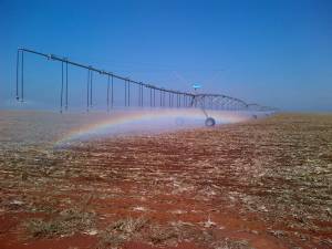 Vale do Araguaia tem grande potencial e pode expandir em 2 mi/ha o sistema agrícola de Goiás