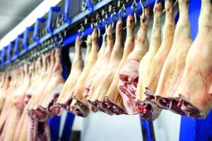 Exportações brasileiras de carnes registram alta em 2025 e suína deve bater novo recorde em setembro