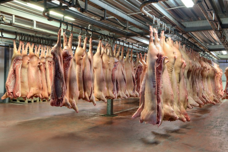 Exportações de carne suína mantêm fôlego internacional
