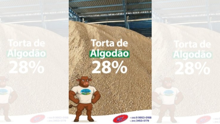 Torta de algodão potencializa o lucro e melhora os resultados para a recria e engorda