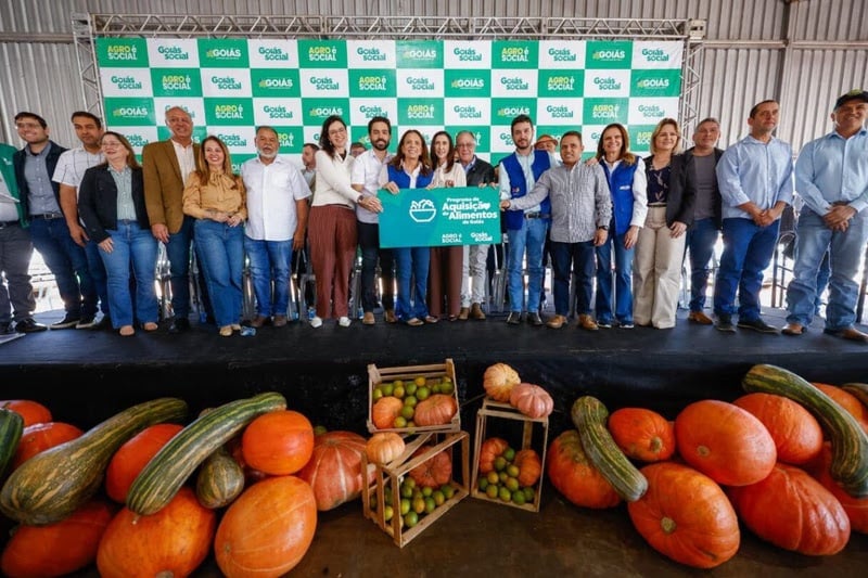 Goiás reduz insegurança alimentar em 24,6% e se consolida entre os estados com melhores índices do país, segundo IBGE