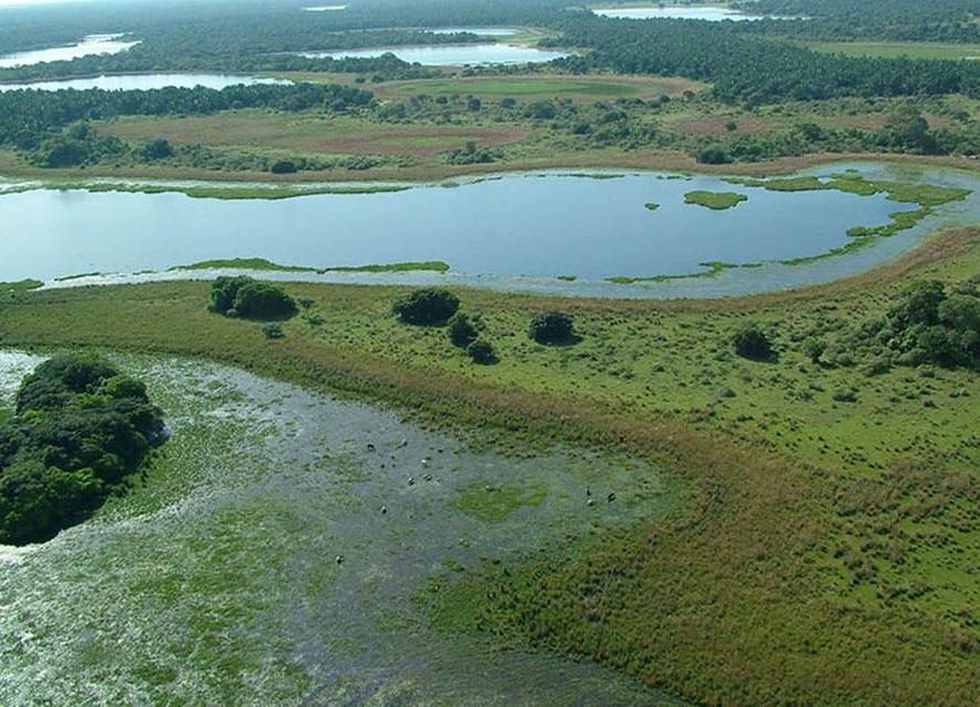 BNDES aprova R$ 100 mi a 1º projeto de restauração produtiva em larga escala de áreas degradadas da BA, PA, RO e MT