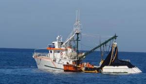 Certificação higiênico-sanitária em embarcações de pesca se torna essencial para exportação