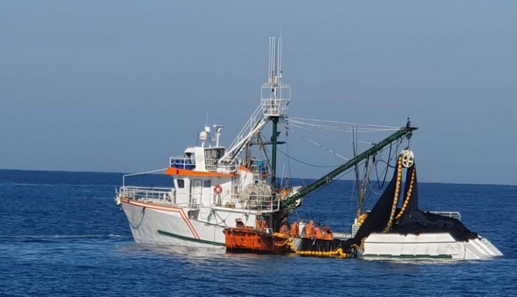 Certificação higiênico-sanitária em embarcações de pesca se torna essencial para exportação
