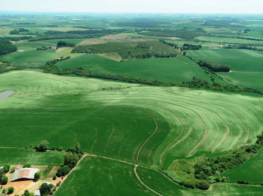 Famato reforça acompanhamento técnico sobre o Zoneamento Socioeconômico de MT e alerta para impactos ao setor produtivo