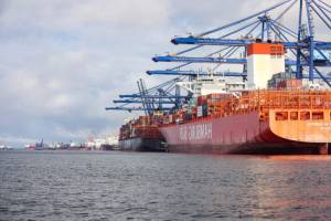 Governo Federal articula abertura do mercado chileno para frigoríficos do Acre e Rondônia