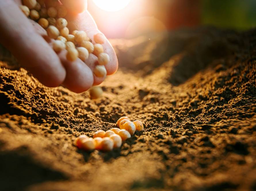 No Dia Nacional do Plantio Direto, Aprosoja MT destaca avanços e benefícios da prática no Estado