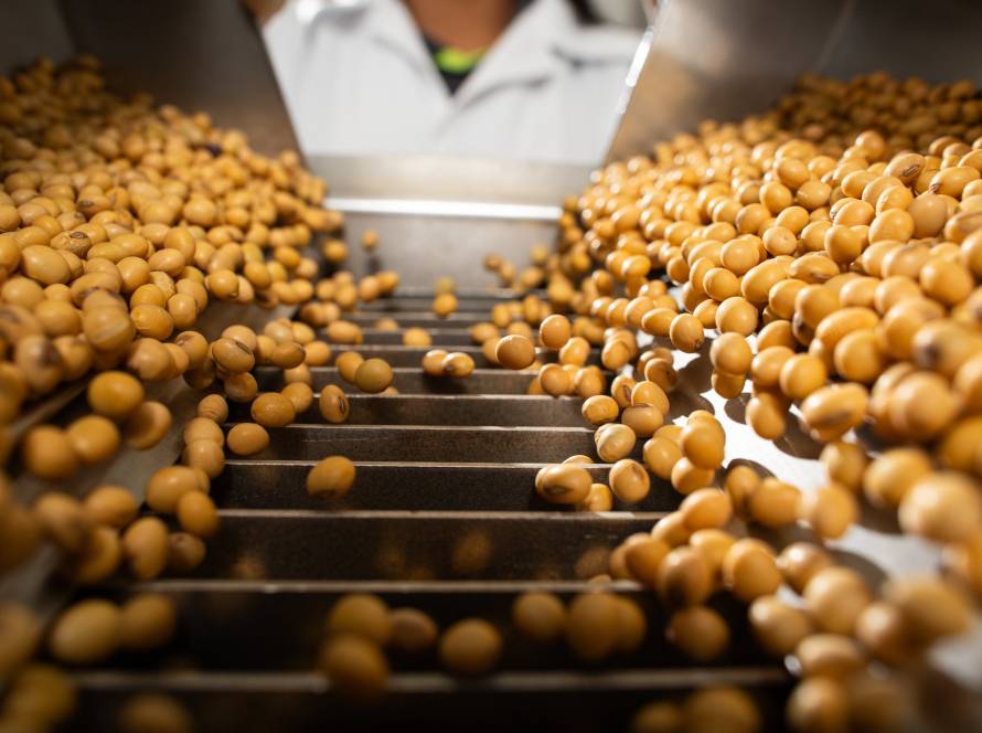 Safra 2025/26: plantio de soja avança no Brasil e Mato Grosso chega a 21%, com novas demandas nutricionais