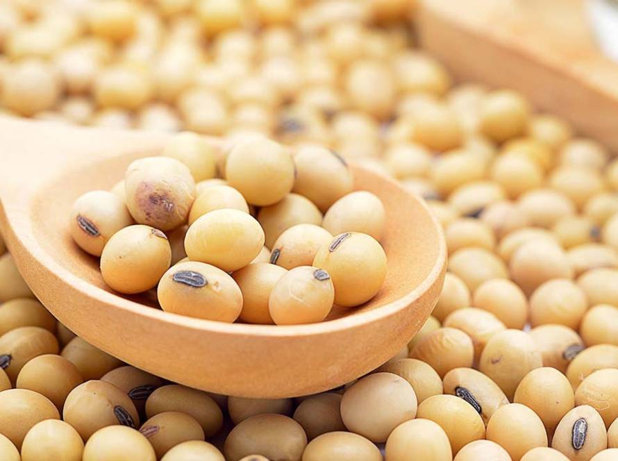 Aumento na área de soja em Goiás traz leve alta para estimativa de safra 2025/26 da StoneX