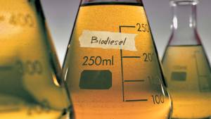 Be8 anuncia aquisição de usina de biodiesel em MT; produção no Brasil deve crescer mais de 40% em 2025
