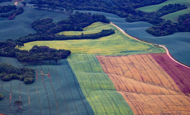 Goiás zera fila do licenciamento ambiental