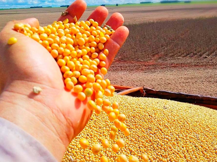 Impulsionado pelo agronegócio e indústria, PIB de Goiás cresce 4,8% em 2023 e supera média nacional