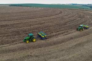 Plantio de milho em Santa Catarina entra na fase final com boas perspectivas