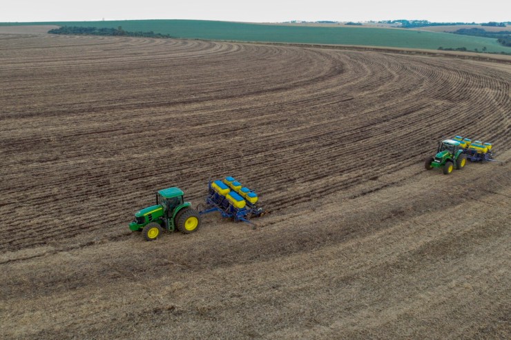Plantio de milho em Santa Catarina entra na fase final com boas perspectivas