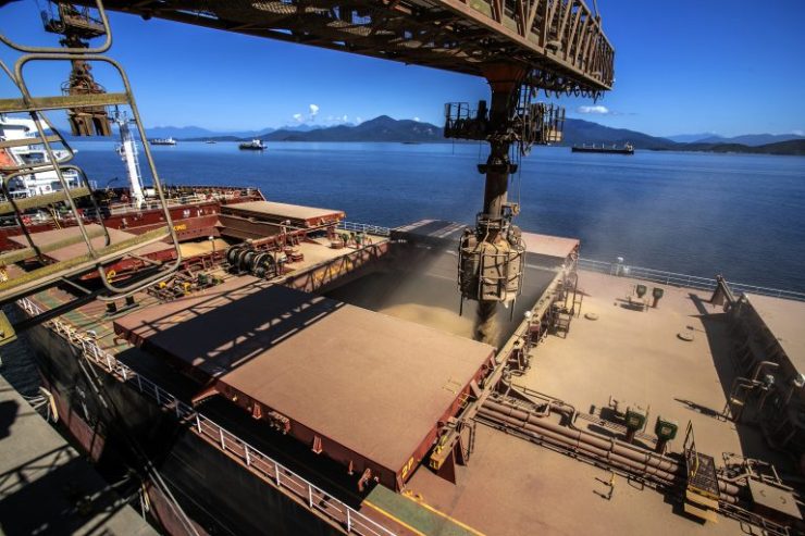 Retomada parcial das compras da China nos EUA afeta exportações da soja brasileira