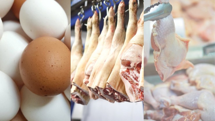 Brasil fecha ano com crescimento em produção, consumo e exportações de carne de frango, carne suína e ovos, aponta a ABPA