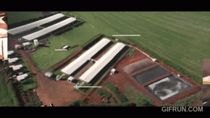 Expedição Suinocultura chega ao Mato Grosso do Sul e estreia nova temporada da série documental