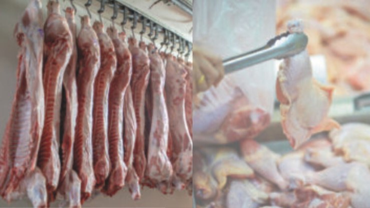 Frango recua 6,5% e suíno cresce 10,4% nas exportações em novembro