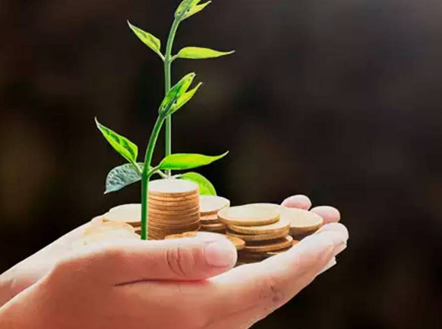 Gestão de caixa e isenção de IR levam produtor de MT ao mercado financeiro