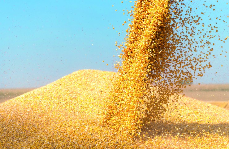 Milho sobe no exterior e trava no Brasil com câmbio e estoques elevados