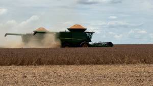 Polícia Civil de Mato Grosso indicia dois agricultores por estelionato