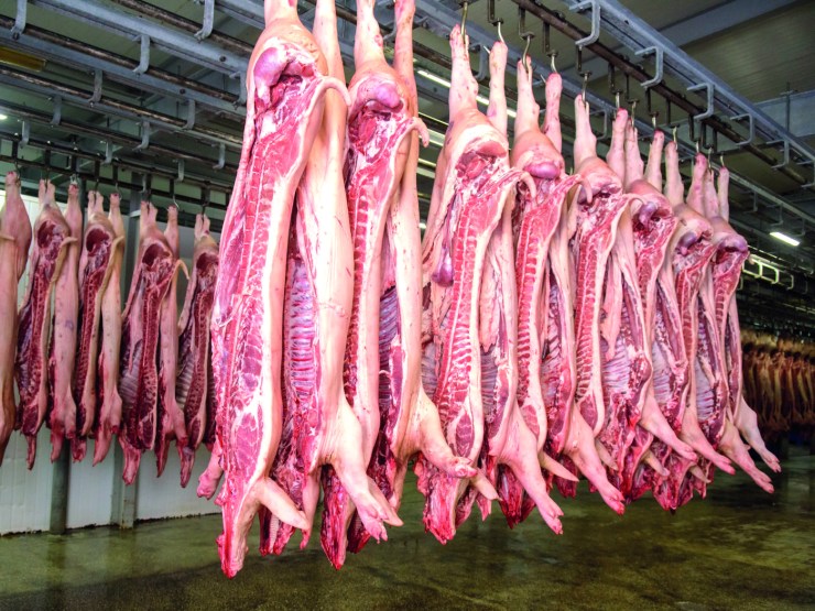 Consumo acima de 20 kg per capita e salto para 3º lugar nas exportações globais impulsionam otimismo da suinocultura para 2026